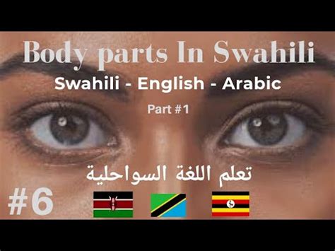 Body Parts in Swahili 1 أعضاء الجسم باللغة السواحلية YouTube