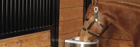 Are Automatic Waterers Right For Your Horses? | Equestrian Barns ...