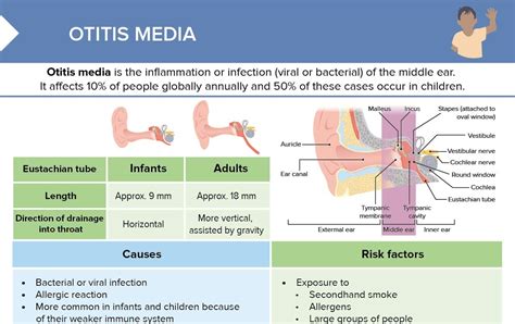 What Is Acute Otitis Media How Is It Treatedcauses Symptoms Images