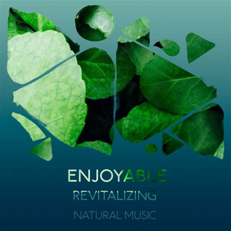 Zzz Enjoyable Revitalizing Natural Music Zzz Album By Soothing Nature