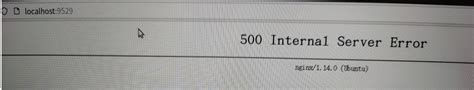 报错ubutun下启动nginx失败500 internal server error ubuntu 22 配置nginx php