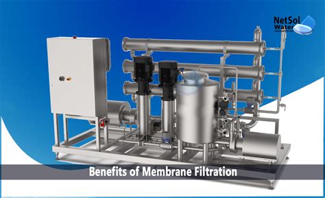 Filtration Membrane Simple Explanation At Dina Mangum Blog