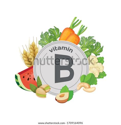 Vitamin B Food Sources Natural Organic Stock Vector Royalty Free