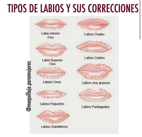 Tipos De Labios Y Correcciones Makeup Eyeshadow Beauty