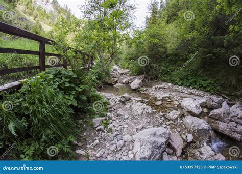 Mountain Ravine Stock Image Image Of Stone Homole Tree 53397325