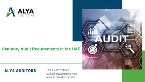 Statutory Audit Requirements In The Uae Alya Auditors