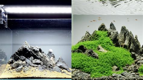 6 Cara Buat Aquascape Simple Minimalis Tanpa CO2