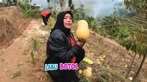 Emak Enah Panen Labu Botol ENAH BIKIN ENAK 05 01 24 YouTube