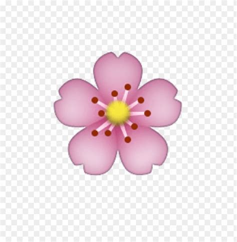 White Flower Emoji Copy Paste | Best Flower Site