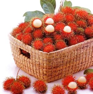 Rambutan Nutrition Facts and Health Benefits - Natural health for ...