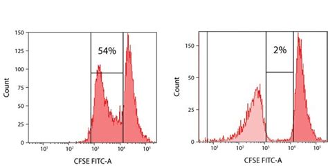 Celltrace™ Cfse Cell Proliferation Kit For Flow Cytometry