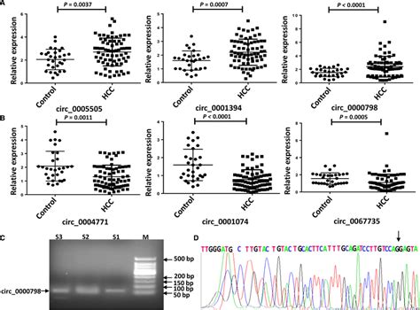 Validation Of The Expression Of Selected Circular Rnas Circrnas By