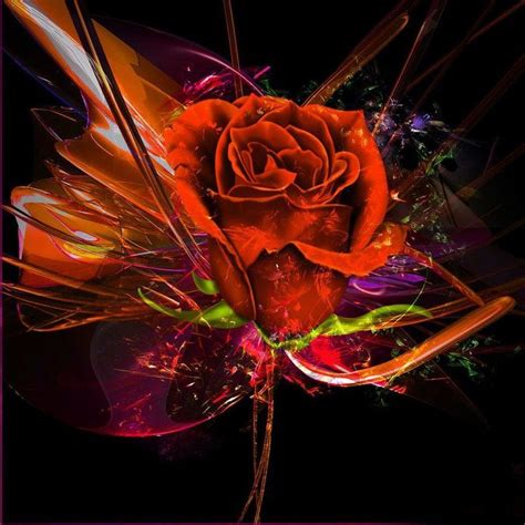 Fractal Rose Fractals Fractal Art Colorful Art