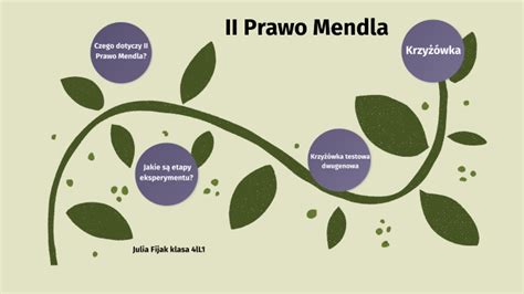 II Prawo Mendla By Julia Fijak On Prezi