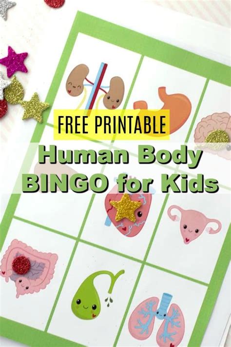 Human Body Printable Bingo Cards Learn Anatomy While Playing