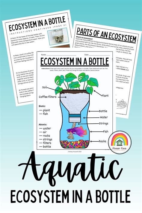 Aquatic Ecosystem In A Bottle Project Complete Lesson Activity And Worksheets Ecosystem In A