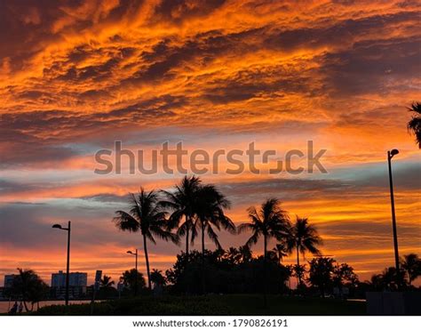 Settles Miami Sunset Stock Photo 1790826191 Shutterstock