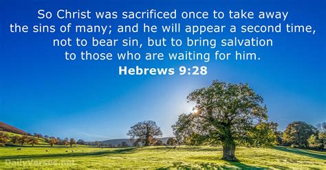 Hebrews 9 28 KJV Bible Verse Of The Day DailyVerses Net