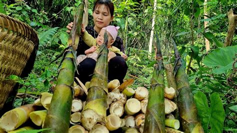 Harvest Bamboo Shoots And Bring Them To The Market To Sell Phuong Tam