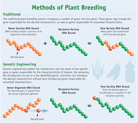 Illustrate The Concept Of Selective Breeding