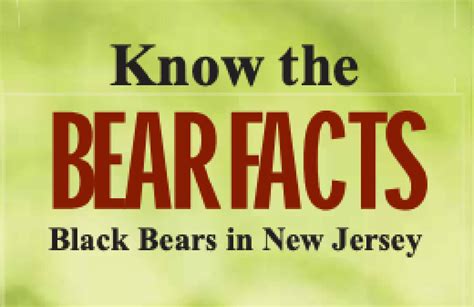 NJDEP Fish Wildlife Black Bear Publications And Materials For Towns