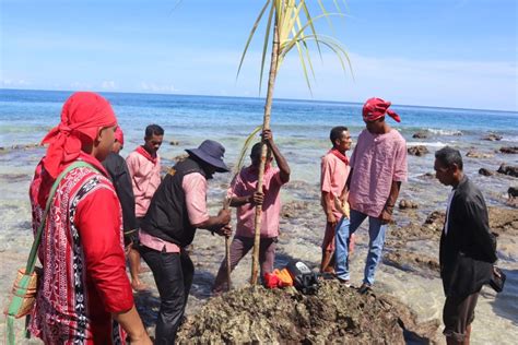 Sasi Laut Adat Yang Harus Dilestarikan Antara News Yogyakarta