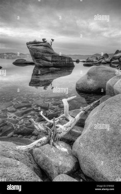 Bonsai Rock Lake Tahoe Stock Photo Alamy
