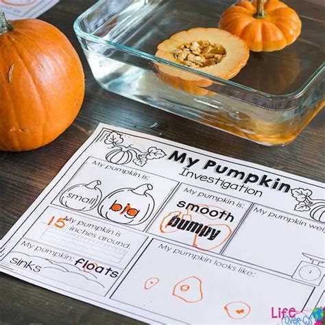 Pumpkin Stem Activity Free Printable Life Over Cs