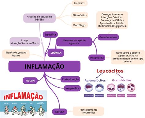 Mapa Mental Bioquimica Geral