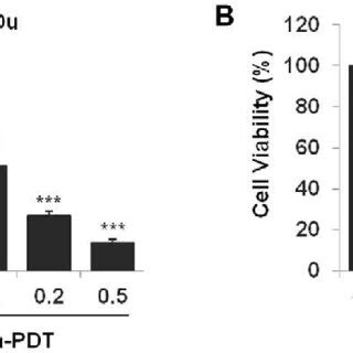 The Effects Of Pa Pdt On Proliferation In Human Oscc Cells A And B