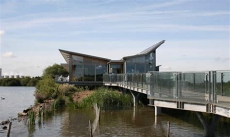 Attenborough Nature Reserve | Wildlife Attraction In Nottingham