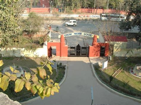 Govt Rajindra College Bathinda