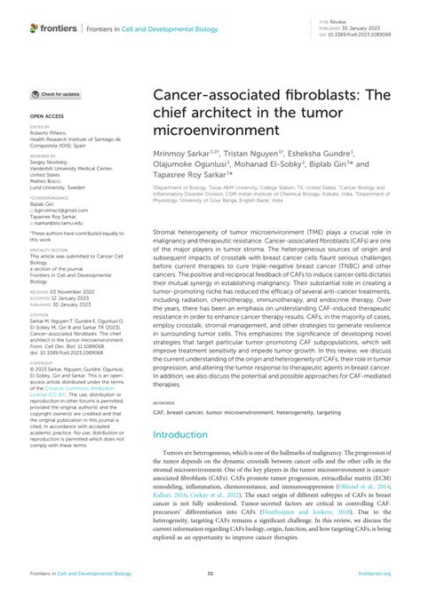 (PDF) Cancer-associated fibroblasts: The chief architect in the tumor ...