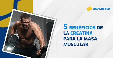 5 Beneficios De La Creatina Para La Masa Muscular Blog