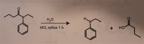 Solved Write Out A Mechanism For The Following Chegg