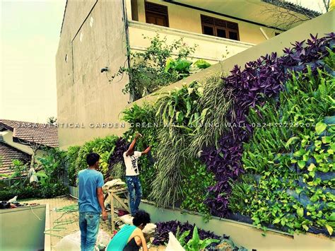 Berikut Ini 21 Contoh Gambar Vertical Garden Dinding Hijau Jasa