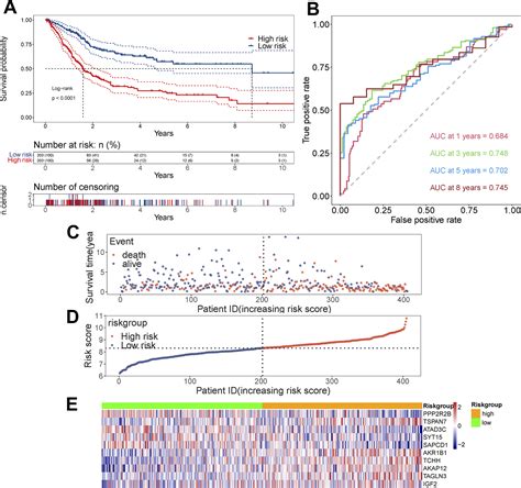 Scielo Brasil Identification And Validation Of A Novel Prognostic