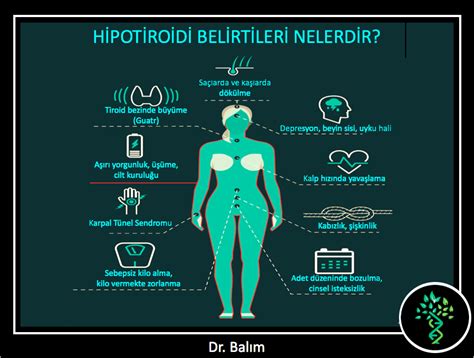 Hipotiroidi TSH ve Tiroid Hormonlarına Aykırı Bir Bakış BÖLÜM 1