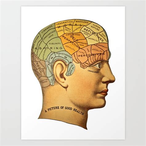 Phrenology Art