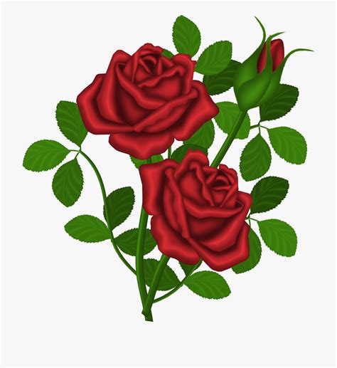 A Dozen Roses Clipart 10 Free Cliparts Download Images On Clipground 2024