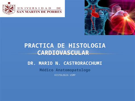 Pptx Lab Histologia Cardiovascular Dokumen Tips