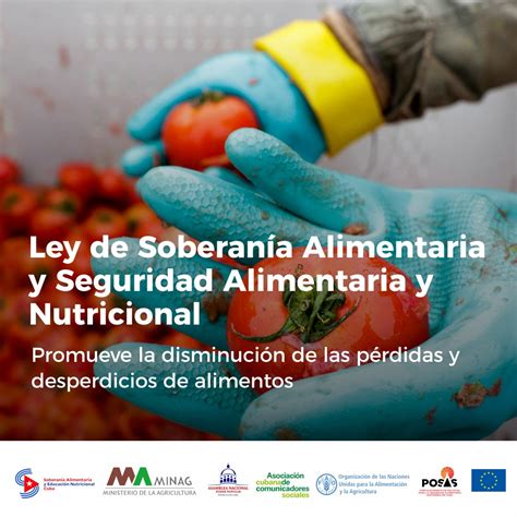 Por Qu Una Ley De Soberan A Alimentaria Y Seguridad Alimentaria Y