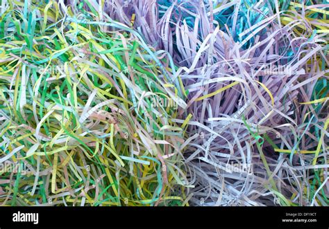 Shredded Paper Texture Hi Res Stock Photography And Images Alamy