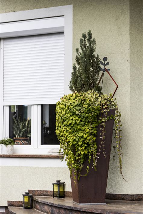 Blumentrog - Galli Ges.m.b.H