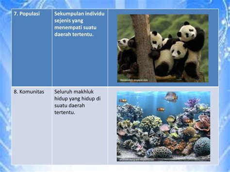 Tingkat Organisasi Kehidupan Biologi PPT