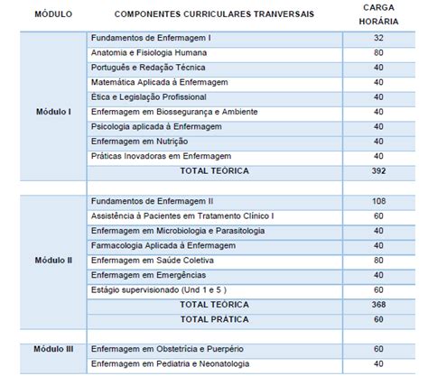 Curso T Cnico De Enfermagem Fema