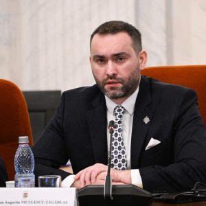 Senatorul Cristian Niculescu Țâgârlaș Soluții legislative pentru