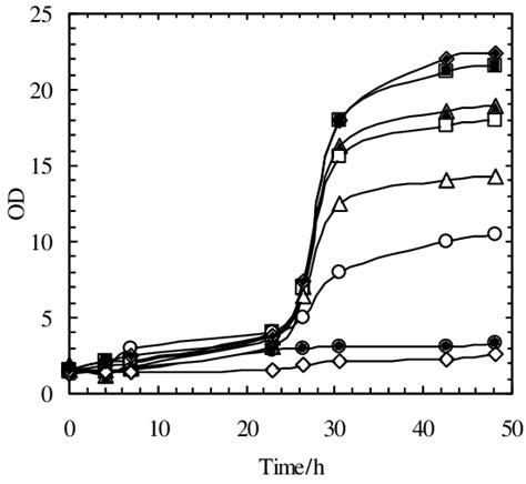 Growth Of Yarrowia Lipolytica Wratislavia K1 Yeast Strain On Medium