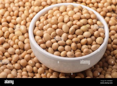 Soya Bean Plant Hi Res Stock Photography And Images Alamy