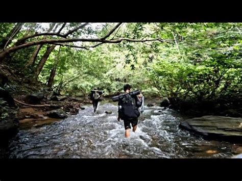 Fishing Camping Di Hutan Belantara Kalimantan Panen Ikan YouTube